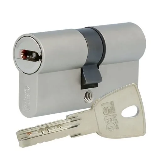 Lecteur à Badges IEI Door-Gard SS-CR500W - Neuf Avec 50 Cartes